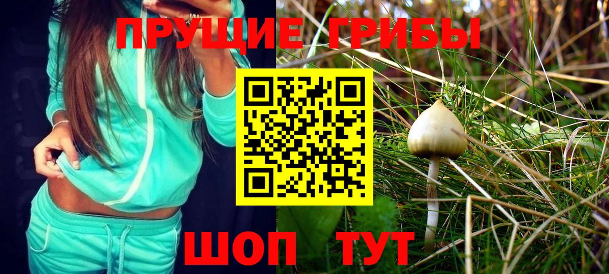 Биробиджан  Псилоцибиновые грибы GOLDEN TEACHER  Вход с VPN 